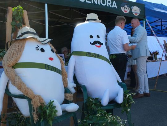 Święto Kwitnącej Fasoli w Tyszowcach