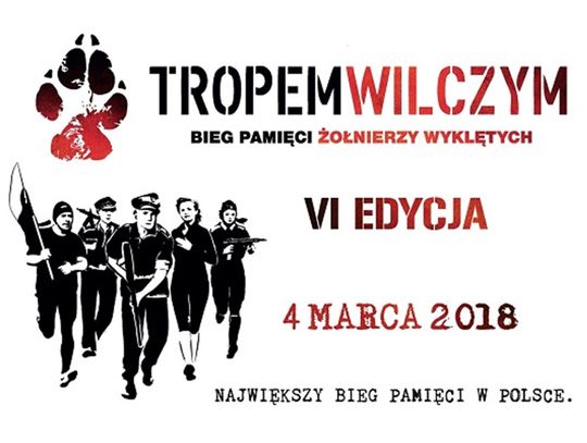 Tropem Wilczym w Tomaszowie Lubelski 