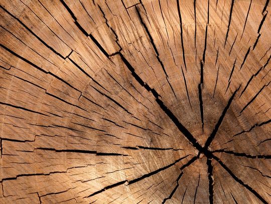 Uroczyste otwarcie dydaktycznej altany z drewna przy Szkole Podstawowej w Suchowoli
