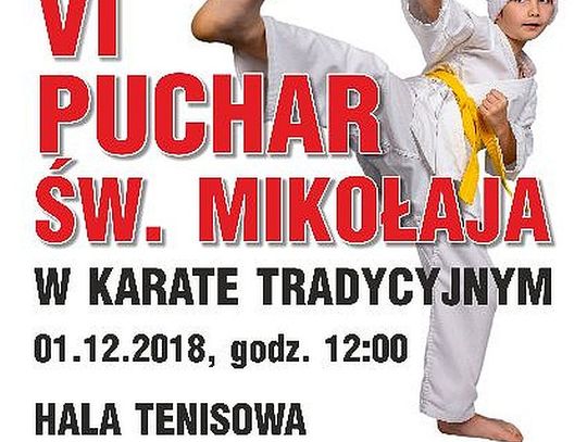 VI Puchar Św. Mikołaja w karate tradycyjnym 1.12.2018