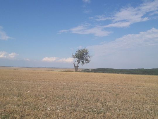 Wakacje na Roztoczu. Rozstrzygnięcie konkursu