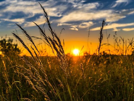 Wczoraj obchodzony był Dzień Wellbeingu 