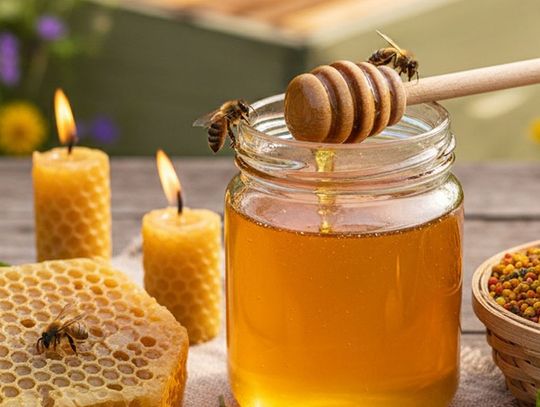 Wosk pszczeli, propolis, pierzga – naturalne skarby ula i ich zastosowanie