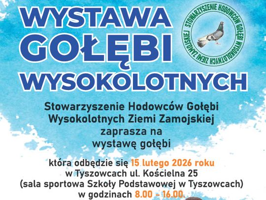 Wystawa Gołębi Wysokolotnych w Tyszowcach