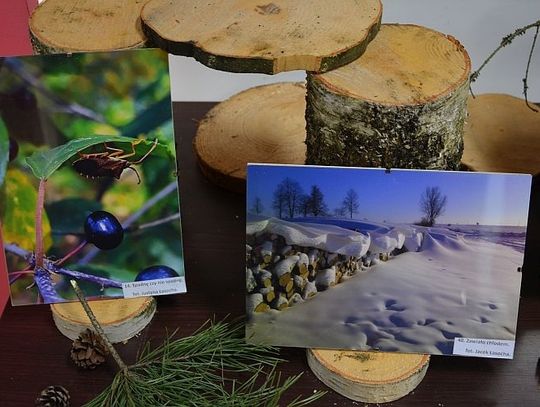 Wystawa ,,Las i jego mieszkańcy w obiektywie leśników"