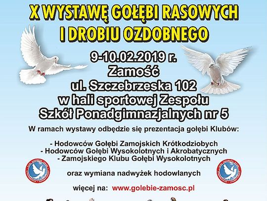 X Wystawa Gołębi Rasowych i Drobiu Ozdobnego w Zamościu