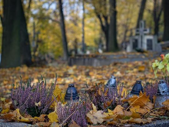 Zamościanie przygotowują się do święta zmarłych