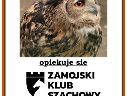 ZOOlogiczny Turniej Szachowy. Trwają zapisy!