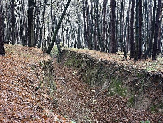 Zwiedzaj Rezerwat Wodny Dół