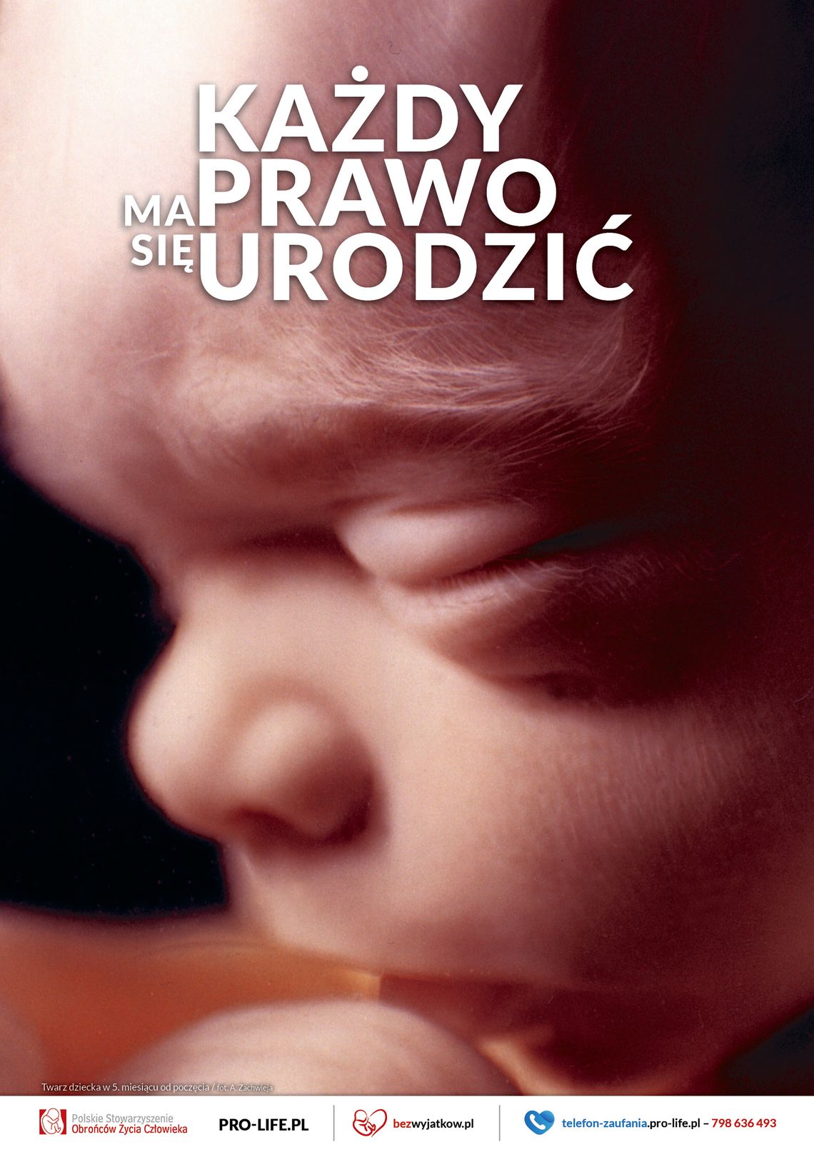 30. rocznica uchwalenia "Ustawy o planowaniu rodziny, ochronie płodu ludzkiego i warunkach dopuszczalności przerywania ciąży"