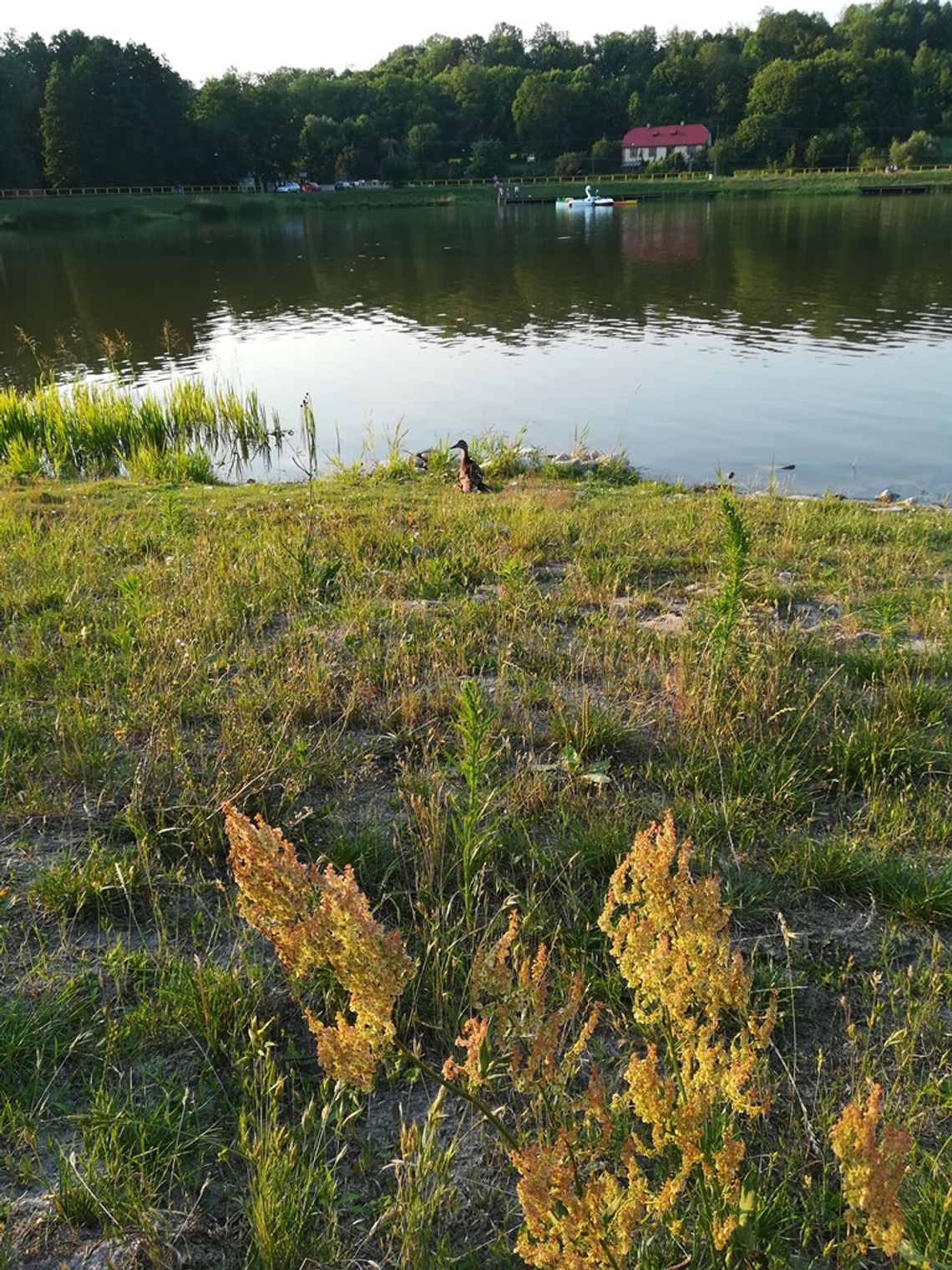 Bezpieczne wakacje nad wodą