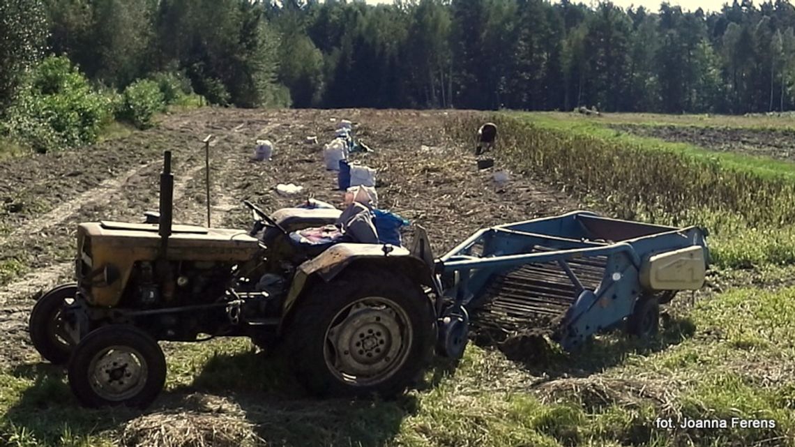 Biłgoraj. Maszyny rolnicze na drogach