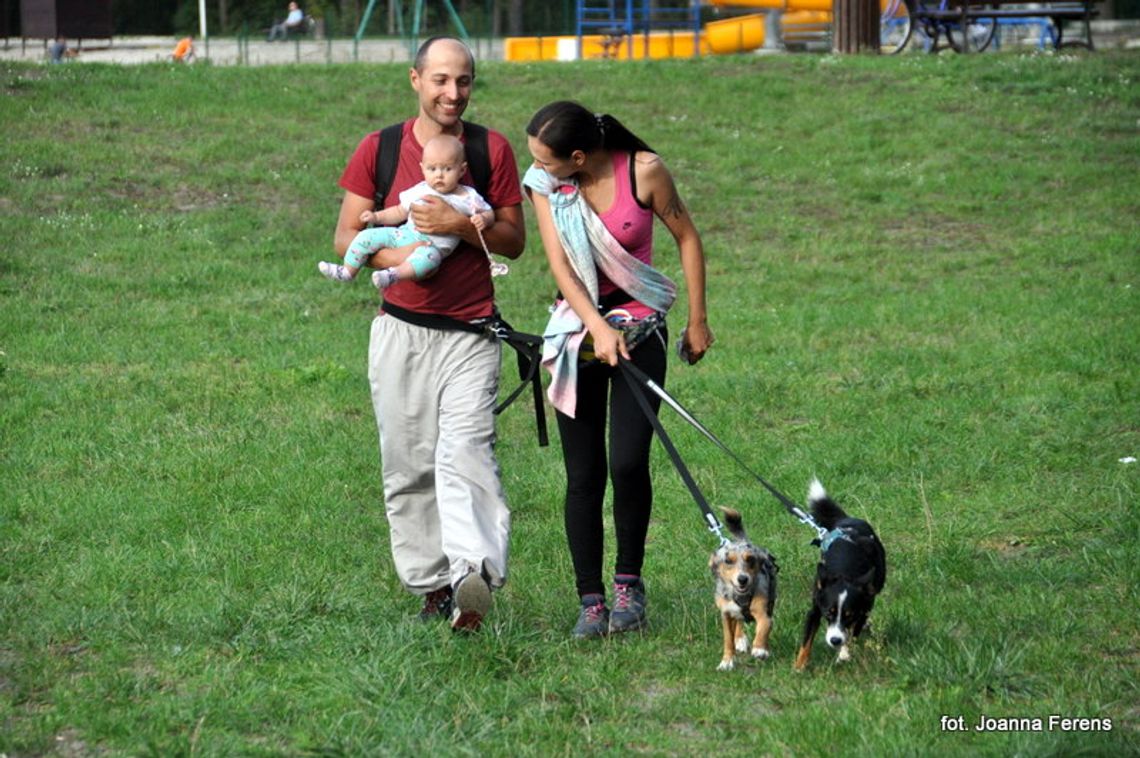 Biłgoraj. Zawody dogtrekking