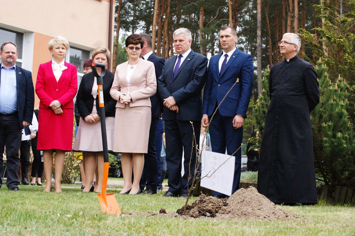 Dąb Niepodległości w Krasnobrodzie