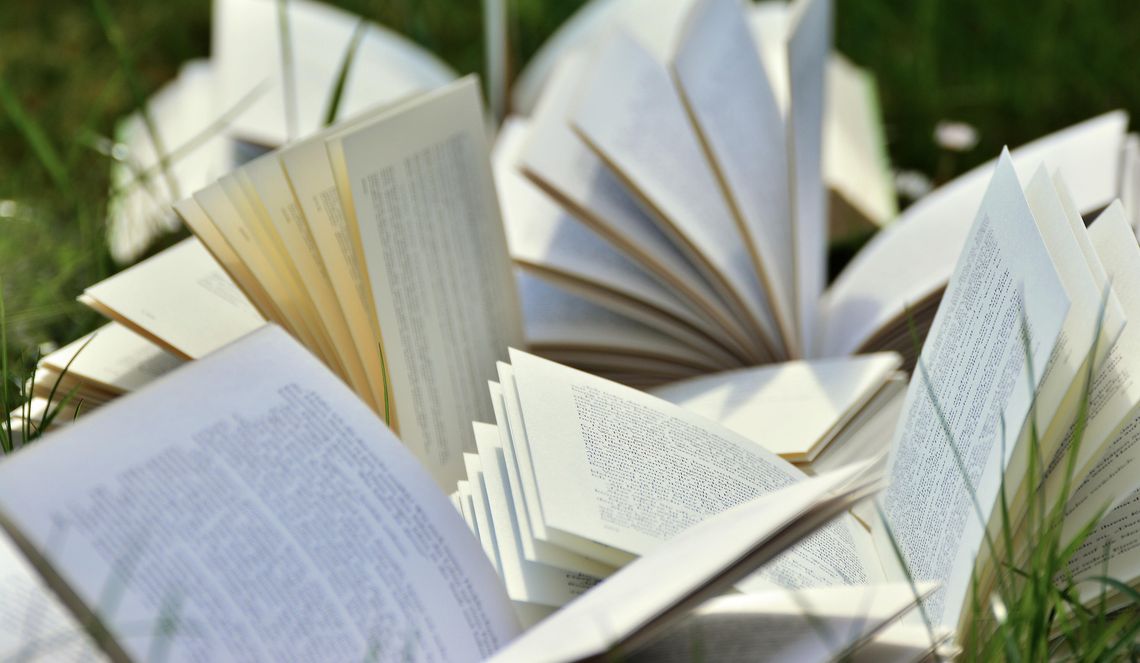 Dlaczego warto czytać książki? Dlaczego warto czytać książki?