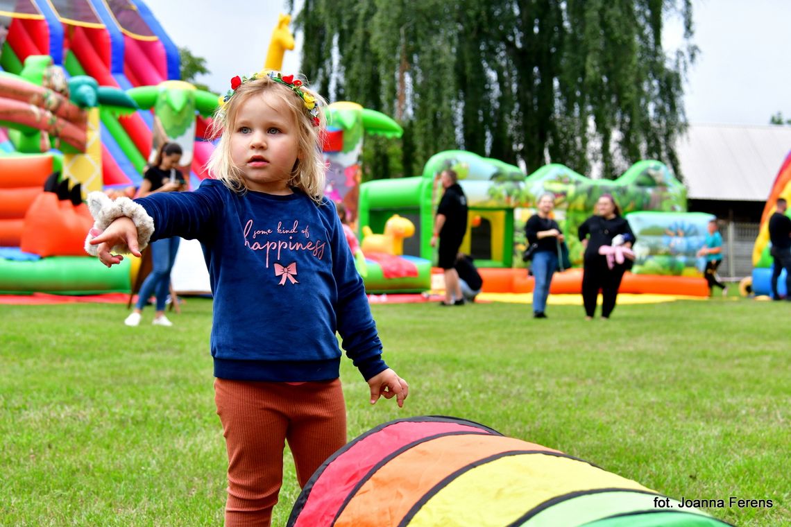 Festiwal Dmuchańców w Tereszpolu