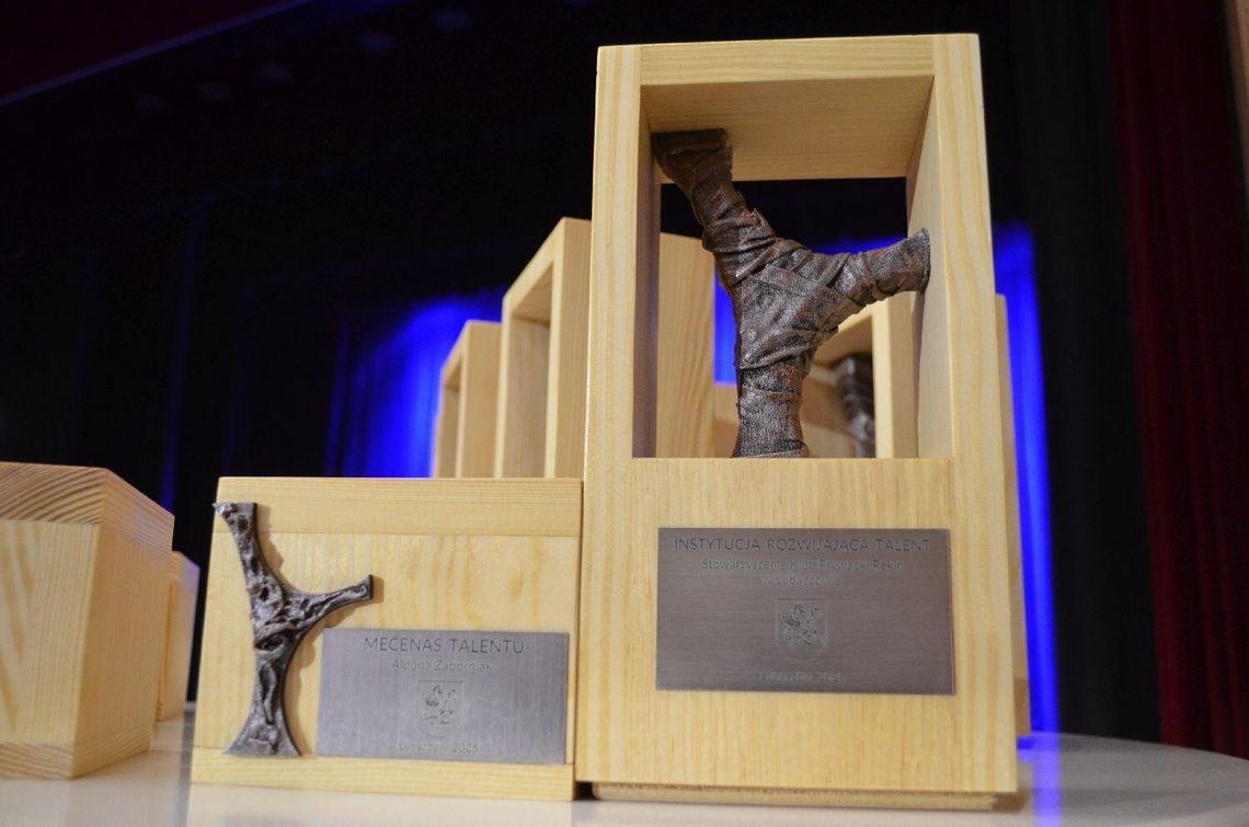 Gala XVI edycji programu „Talent Powiatu Lubaczowskiego”