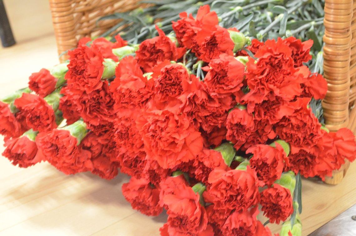 Gminny Dzień Kobiet w Tarnawatce