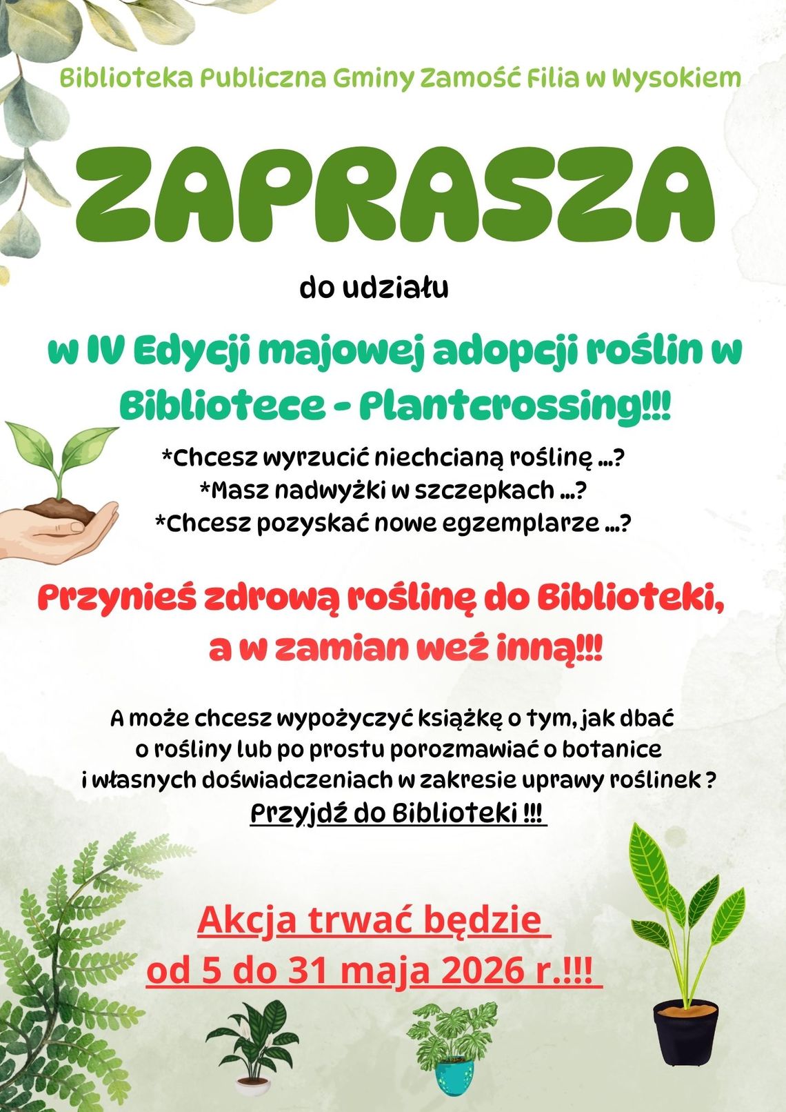 IV edycja majowej adopcji roślin w bibliotece – Planterossing IV edycja majowej adopcji roślin w bibliotece – Planterossing