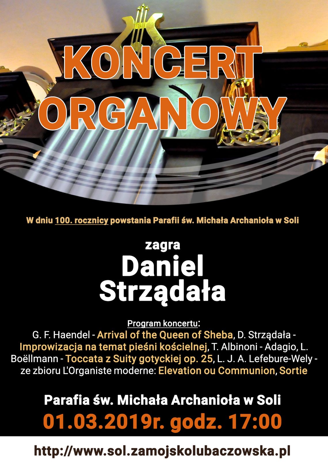 Koncert organowy w Soli