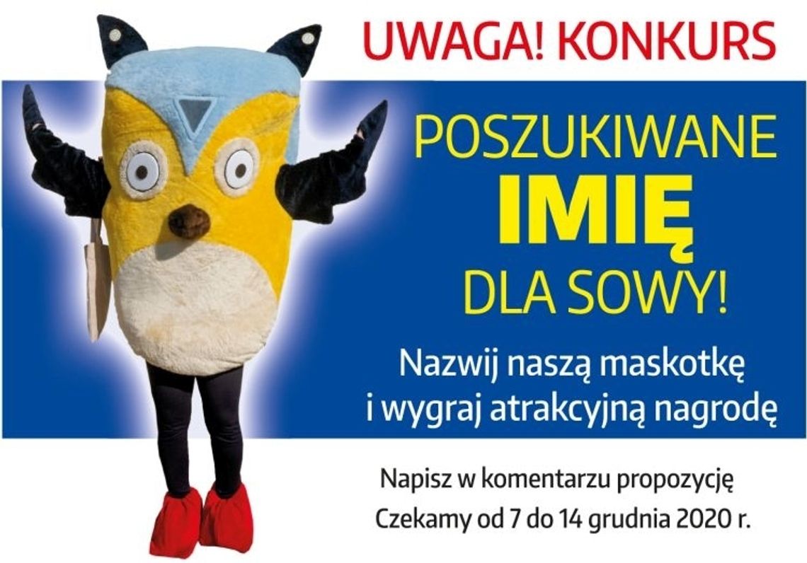 Konkurs na imię dla SOWY, bibliotecznej maskotki