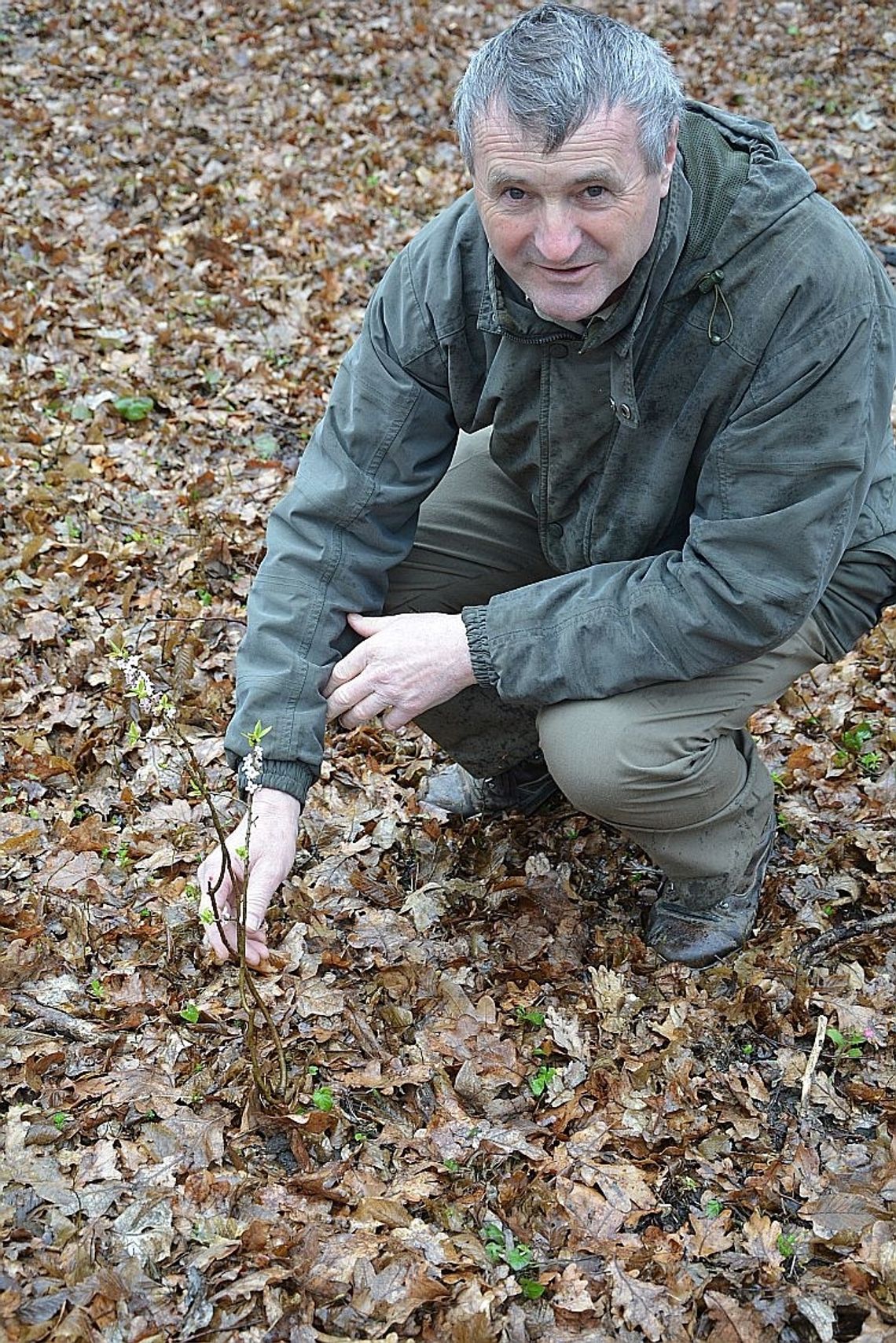 Krzysztof Krupa