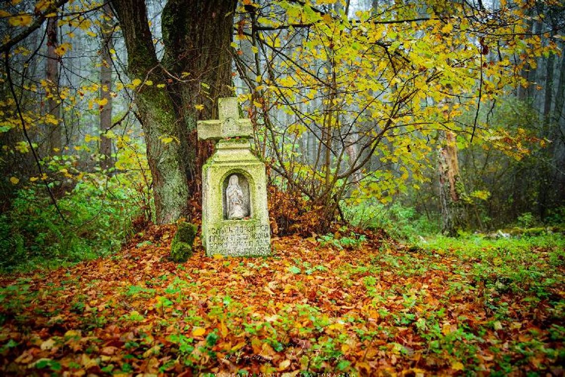 Leliszka - tajemnicza osada na Roztoczu Południowym