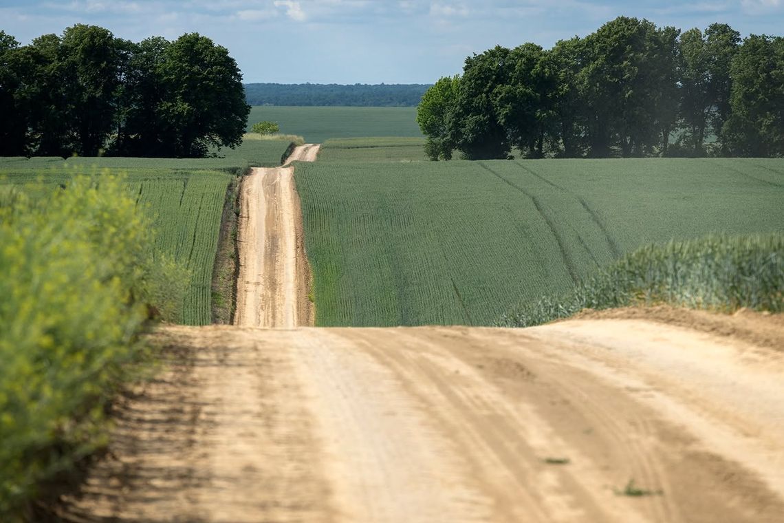 Lubelski Czek Turystyczny Grzęda Sokalska