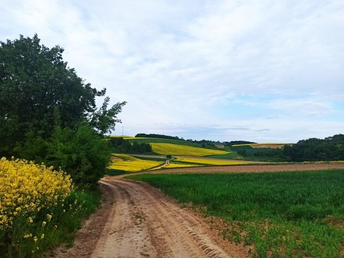 „Lubelskie. Smakuj życie!” - Ogólnopolski Konkurs Fotograficzny