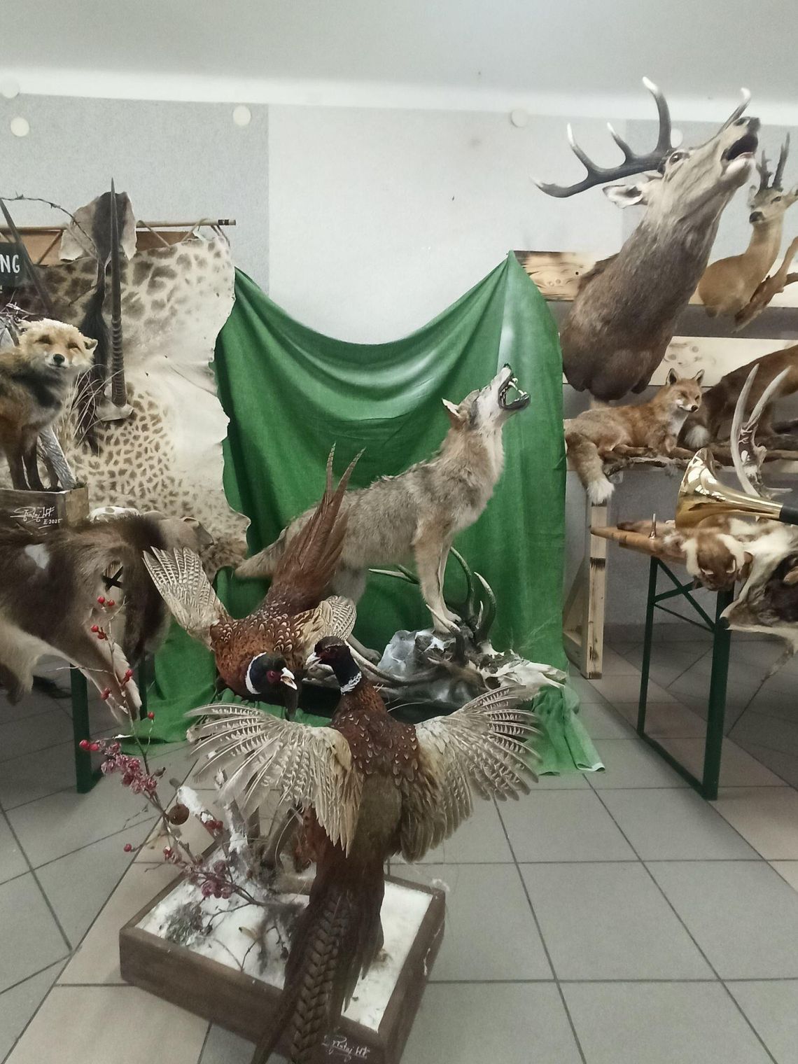 Lubycza Królewska. Spotkanie z myśliwską pasją Lubycza Królewska. Spotkanie z myśliwską pasją