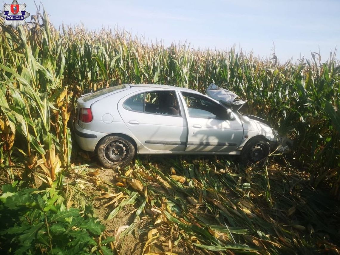 Nietrzeźwy kierowca wjechał w pole kukurydzy