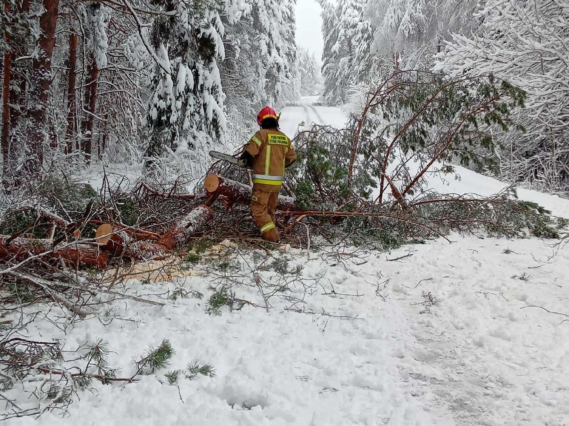 Pierwsze opady śniegu Pierwsze opady śniegu