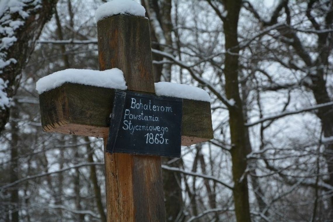 Powstanie ,,Baza Grobów Powstańców Styczniowych"