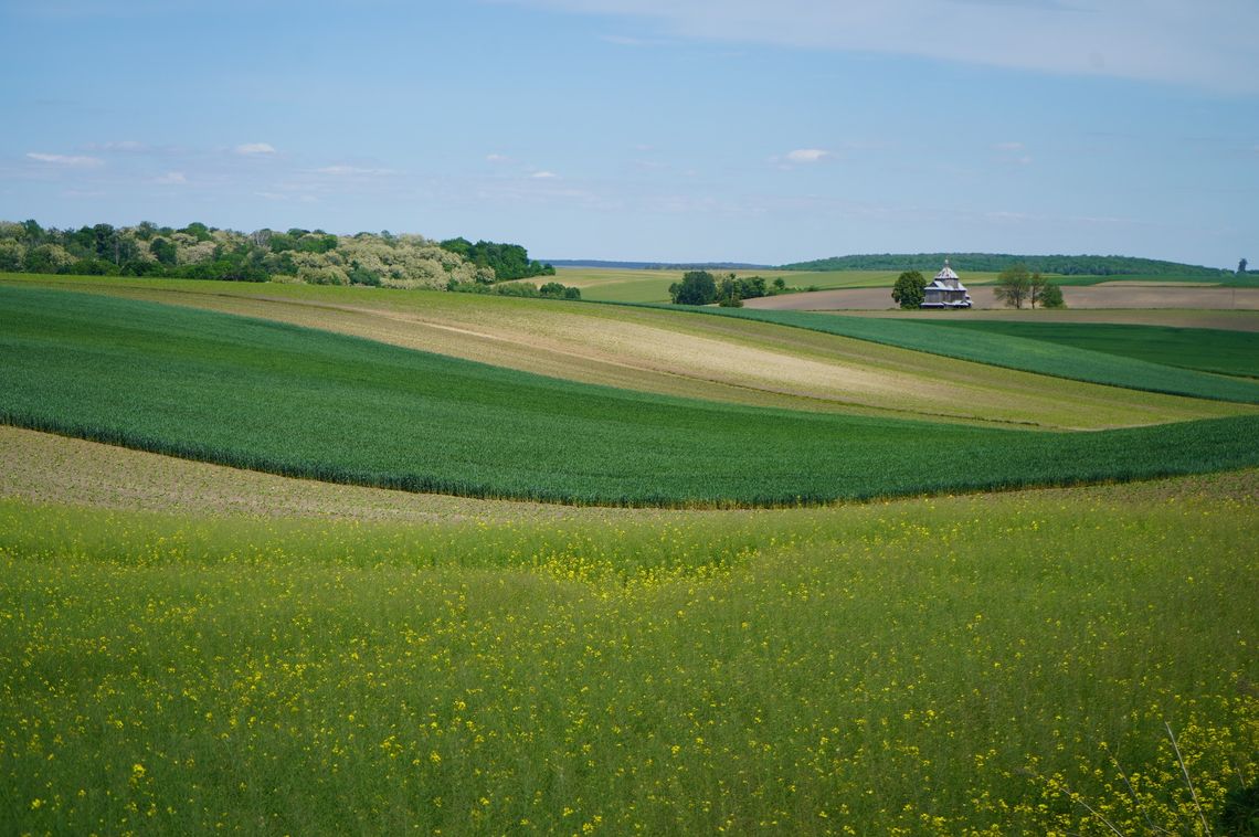 Poznajmy bliżej Grzędę Sokalską