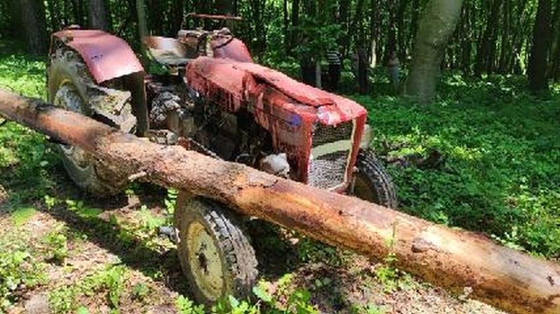 Tragiczny wypadek przy pracach leśnych Tragiczny wypadek przy pracach leśnych