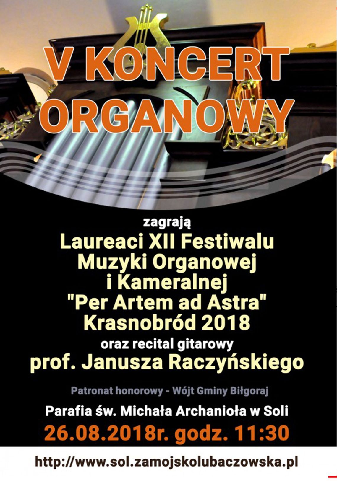 V Koncert Organowy w Soli