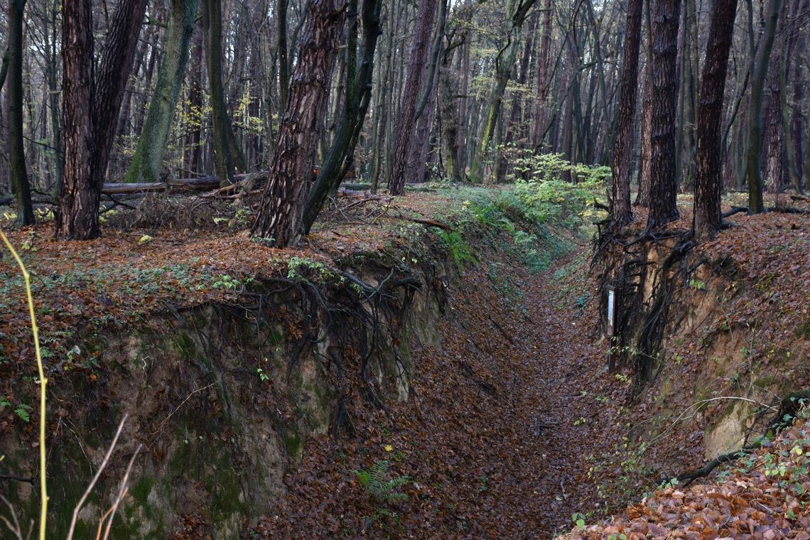 V Wojewódzki Konkurs Fotograficzny im. Augusta Cieszkowskiego