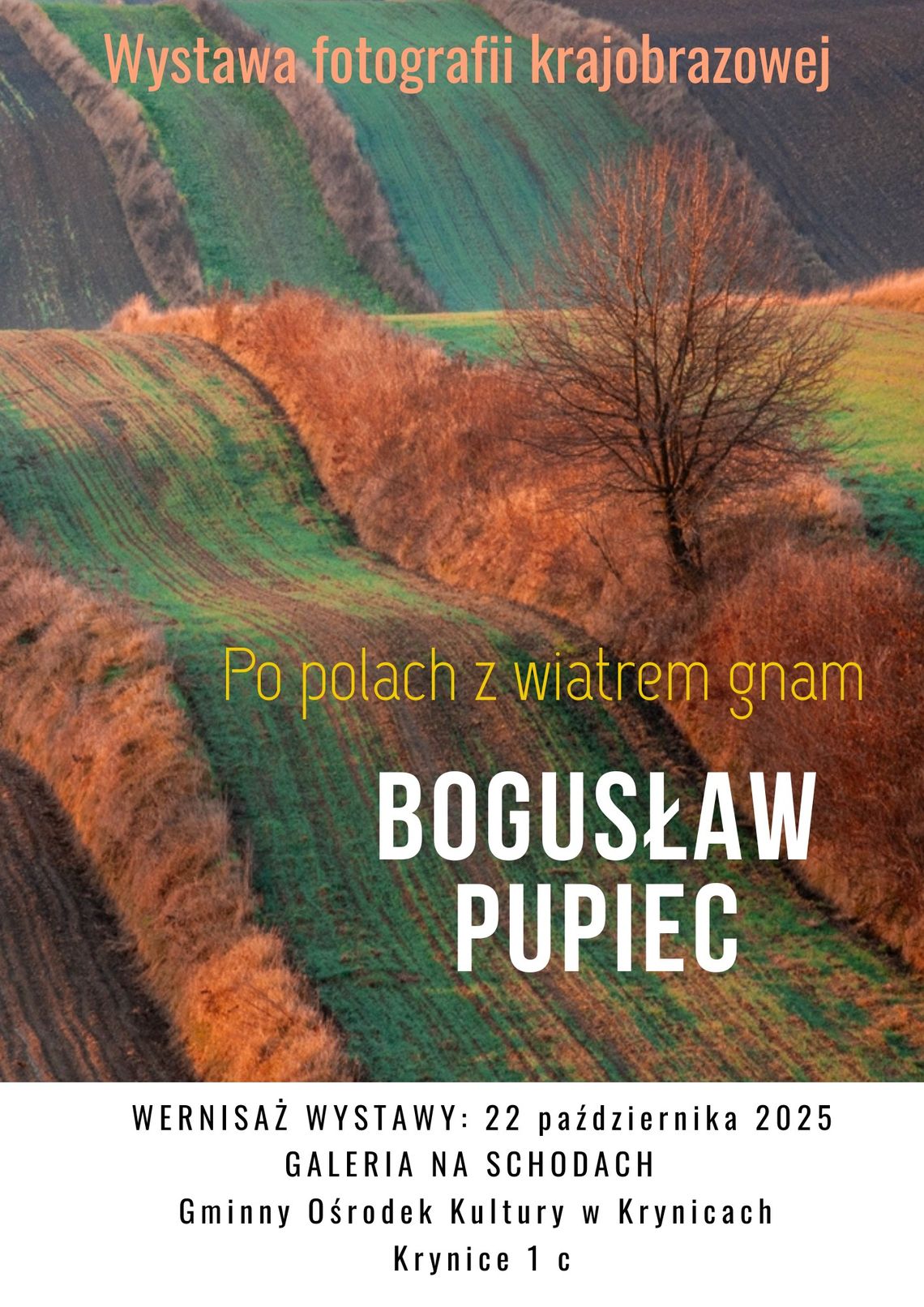 Wernisaż wystawy fotografii krajobrazowej