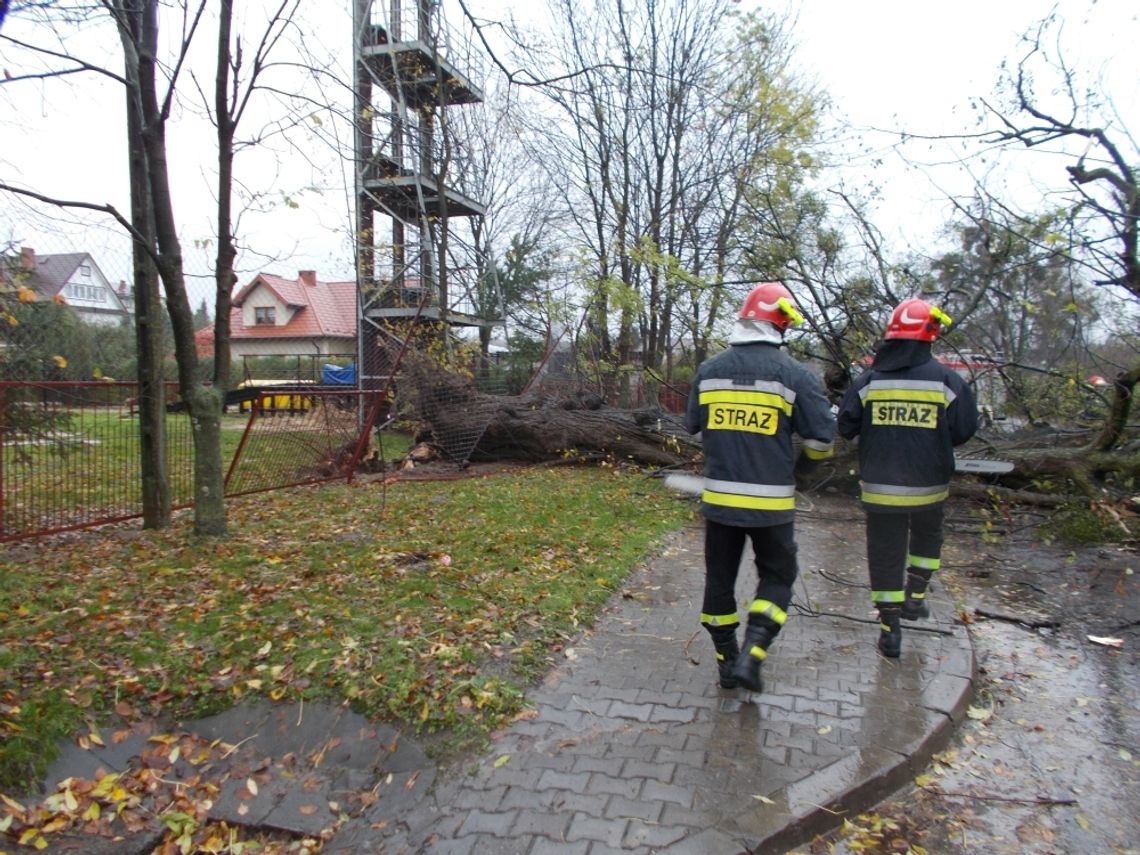 Wichura w powiecie zamojskim