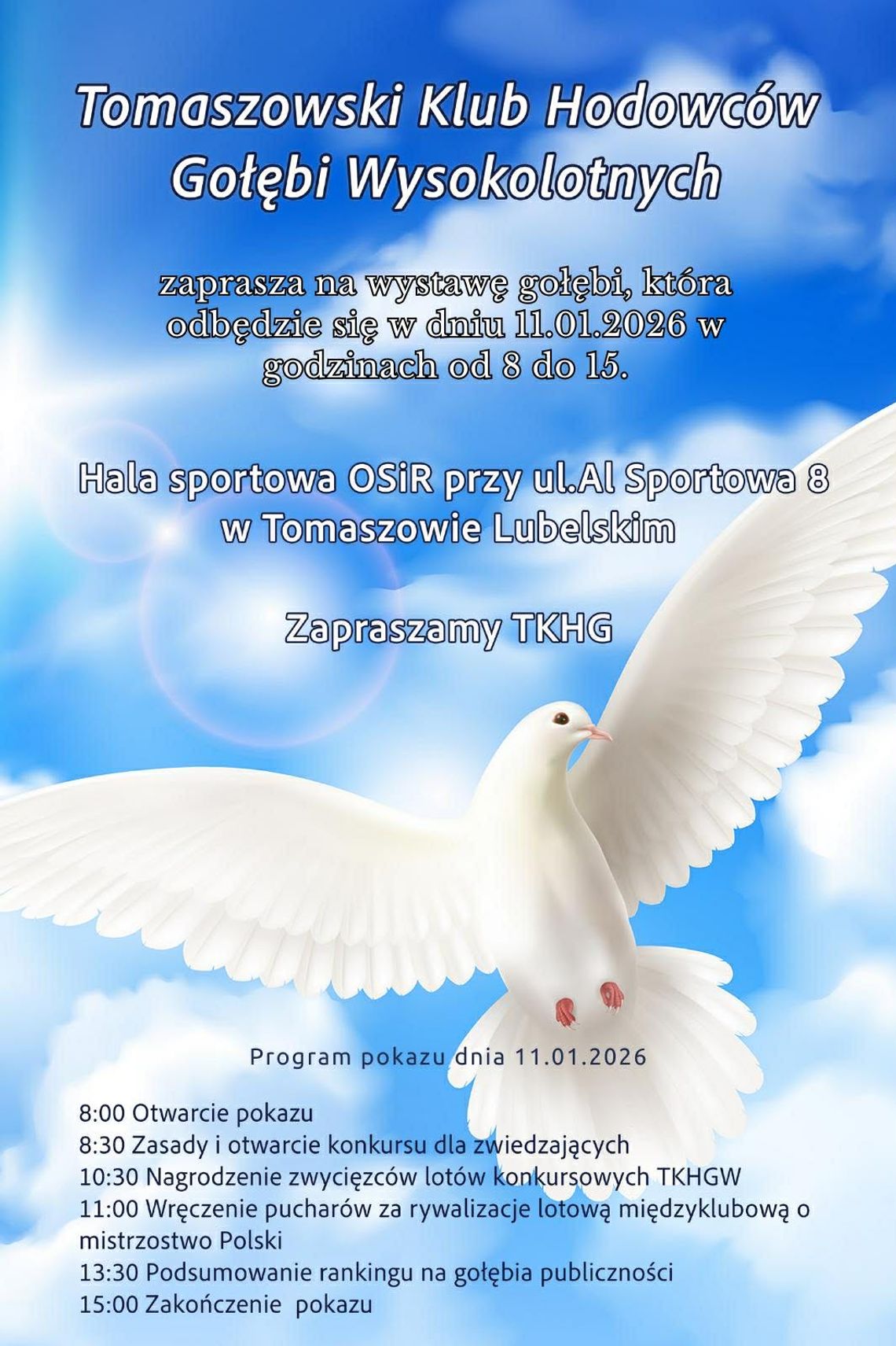 Wystawa gołębi w Tomaszowie Lubelskim