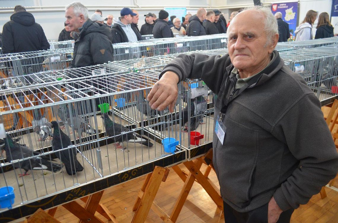 Wystawa gołębi wysokolotnych w Tyszowcach