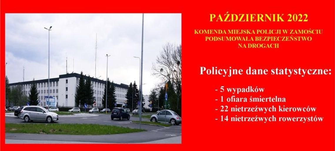 Zamojska Policja podsumowała październik. Znamy dane dotyczące bezpieczeństwa na drogach 