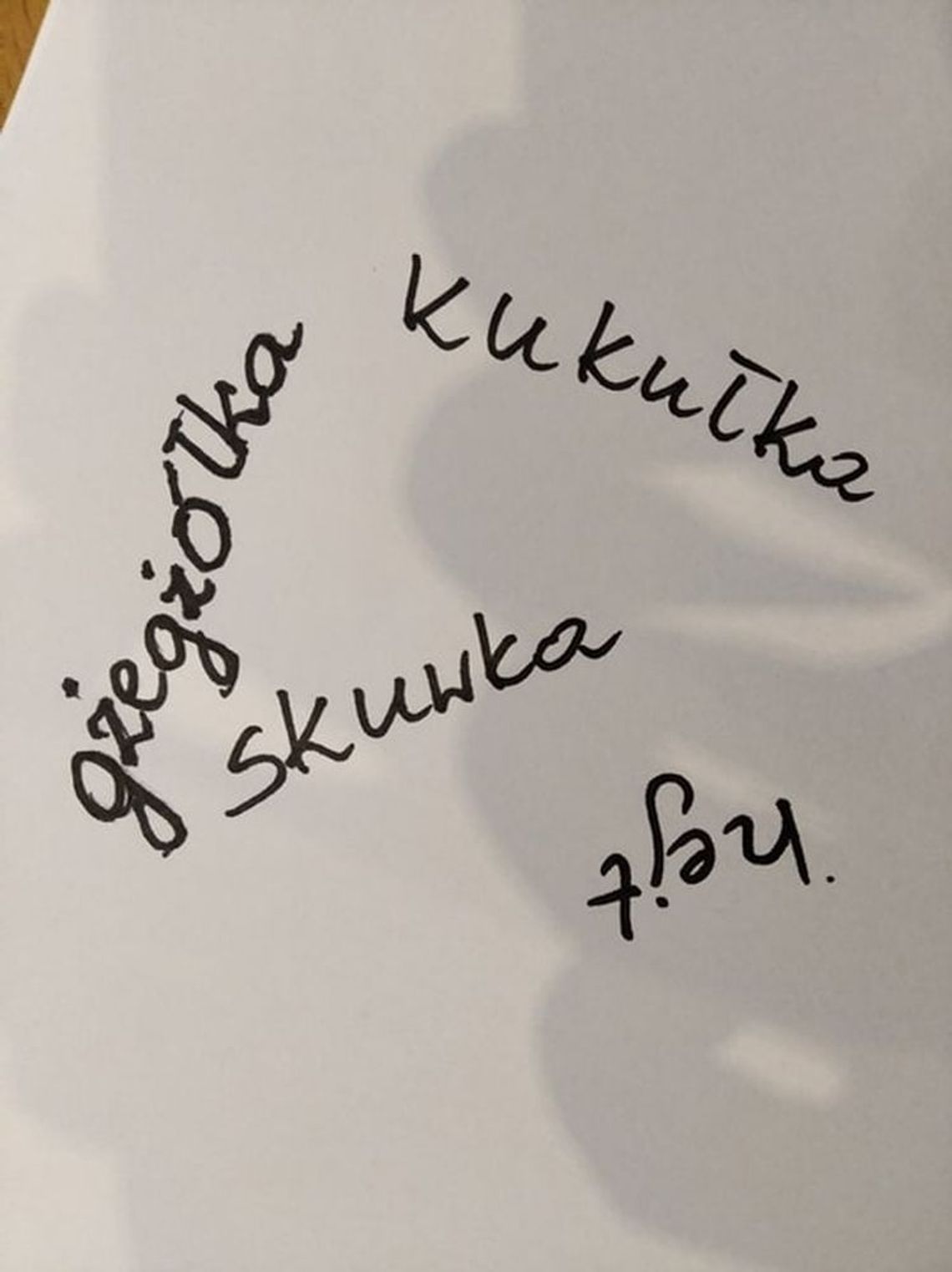 Zamojskie Dyktando