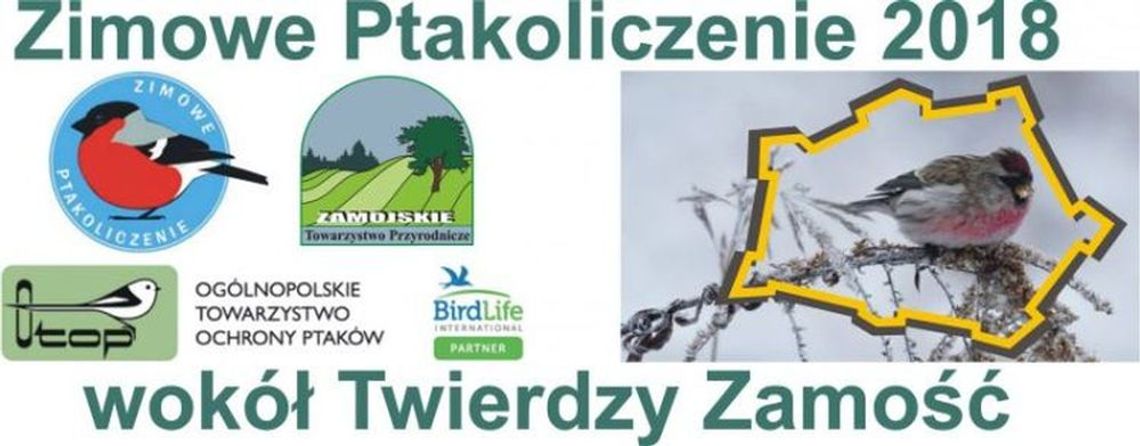 Zimowe Ptakoliczenie wokół Twierdzy Zamość