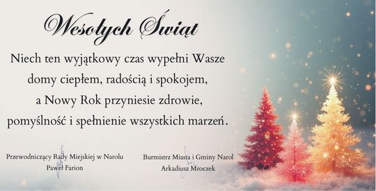 17 NAROL MIASTO I GMINA