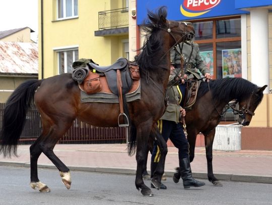 Lubaczów. Obchody 3 Maja 2017