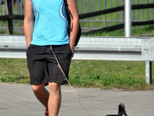 Biłgoraj. Zawody dogtrekking