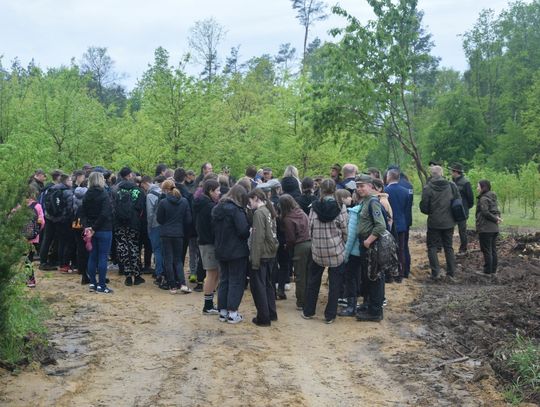 Sadzenie Lasu Pamięci Jana Pawła II w Nadleśnictwie Oleszyce