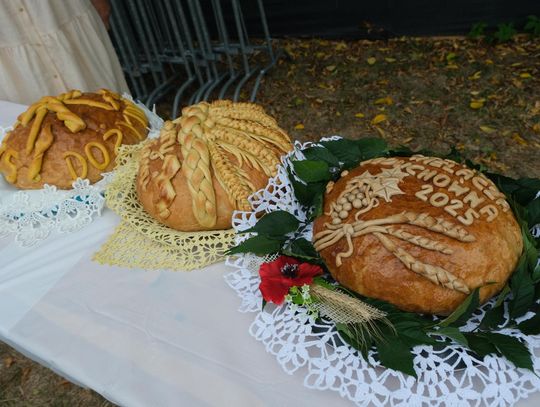 Święto plonów w Szczebrzeszynie