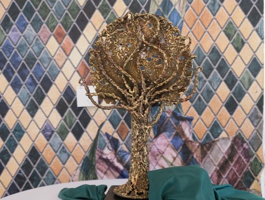 Gala 7. Ogólnopolskiego Konkursu Fotograficznego "Moje Roztoczańskiego Drzewo"